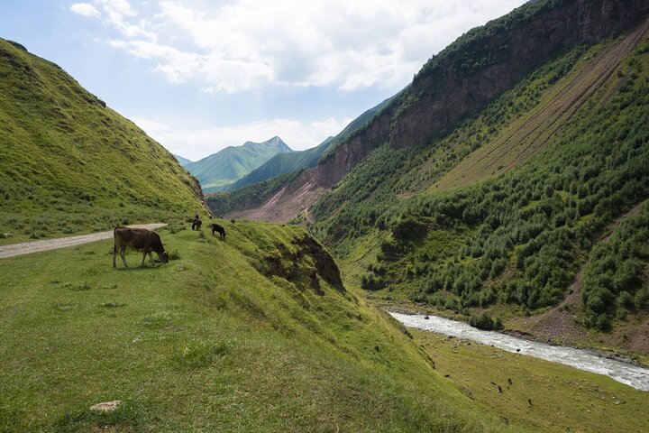 Kazbegi - Tour di trekking privato di un giorno nella valle di Truso