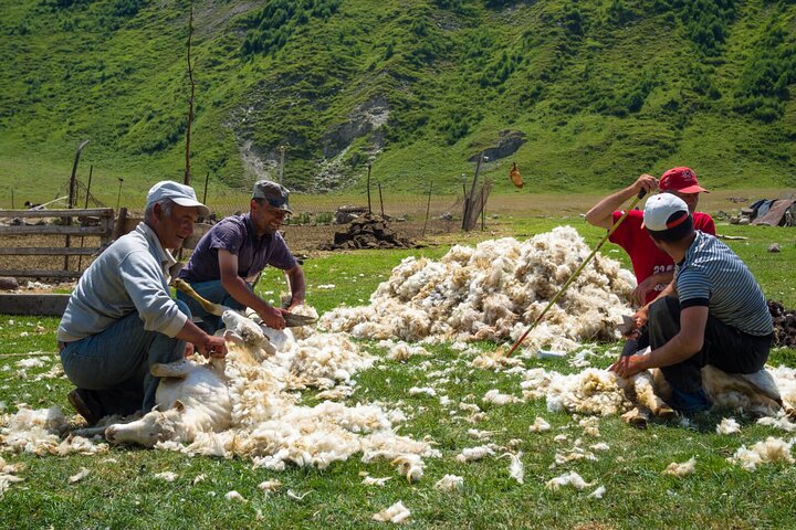 Kazbegi - Tour di trekking privato di un giorno nella valle di Truso