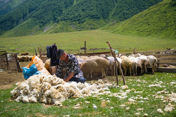 Kazbegi - Tour di trekking privato di un giorno nella valle di Truso