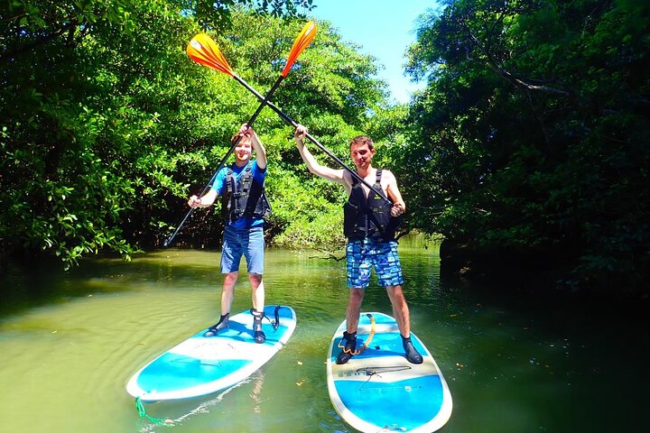 SUP ou canoë dans la mangrove d'Ishigaki + plongée avec tuba dans la Grotte Bleue