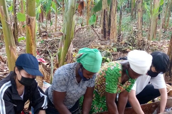 Rwanda Lokale gemeenschapsreis (koffie, cultureel dorp, lokaal eten)