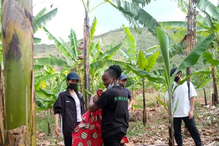 Rwanda Lokale gemeenschapsreis (koffie, cultureel dorp, lokaal eten)