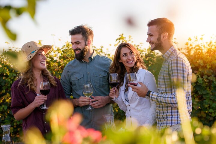 Degustazione di vini stappati Santillana: un'avventura privata