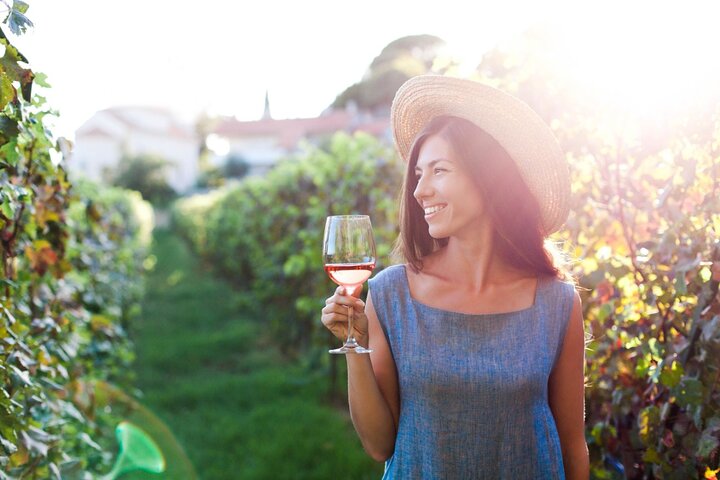Degustazione di vini stappati Santillana: un'avventura privata