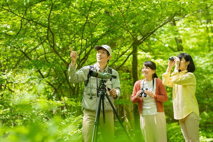 Wild Bird Sanctuary Forest guidet tur i Nagano