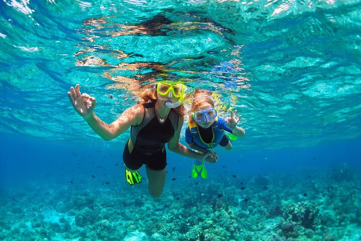 Key West Reef morgen snorkling med frokost og mimosaer