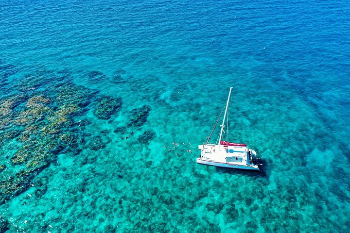 Key West Reef morgen snorkling med frokost og mimosaer