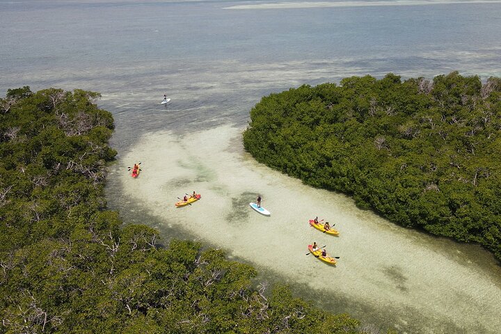 Key West Sandbar Charter met kajaktour: inclusief lunch en drankjes