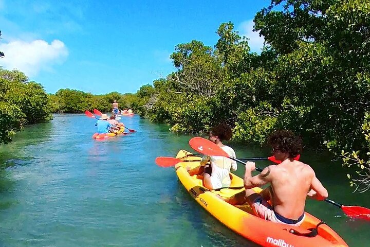 Key West Sandbar Charter met kajaktour: inclusief lunch en drankjes
