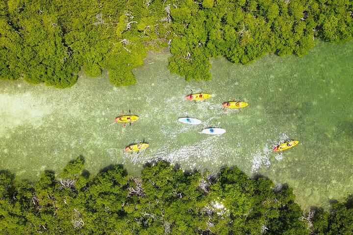 Key West Sandbar Charter met kajaktour: inclusief lunch en drankjes