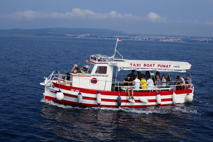 Excursion privée d'une demi-journée en bateau sur l'île Plavnik avec le capitaine. Bobo
