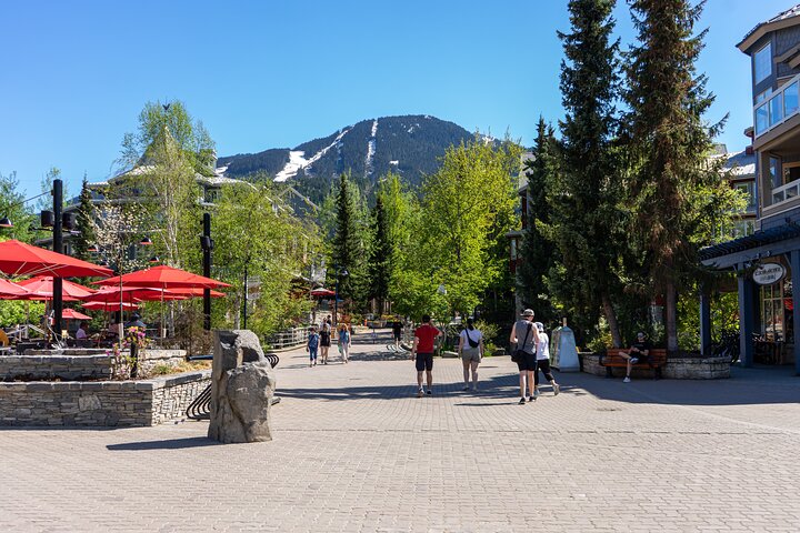 Whistler Sightseeing & Sea to Sky Gondola Tour fra Vancouver