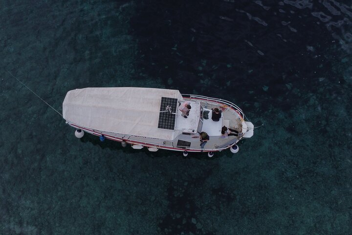 Excursion privée d'une demi-journée en bateau sur l'île Plavnik avec le capitaine. Bobo