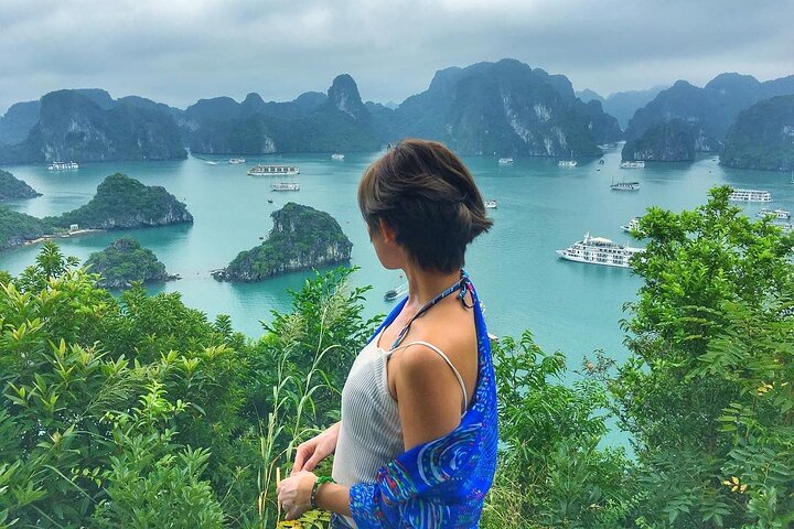 Cruzeiro Premium Cosy Bay – Luxo em Halong Bay 1 Dia - ALMOÇO BUFFET