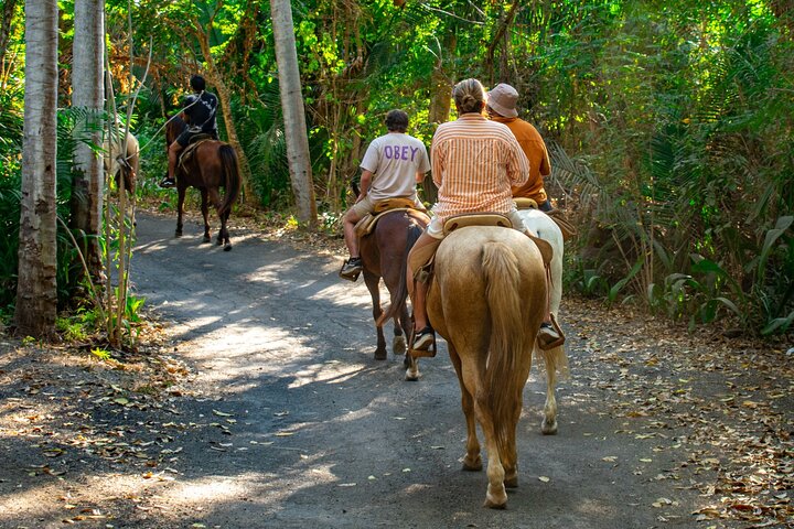 Ridning i Sayulita genom djungelstigar till stranden