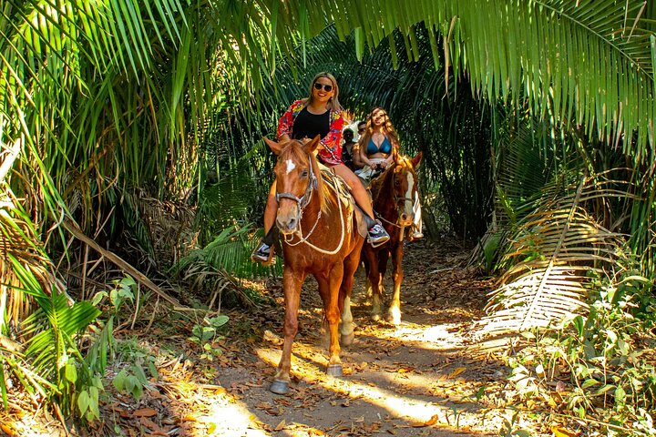 Ridning i Sayulita genom djungelstigar till stranden