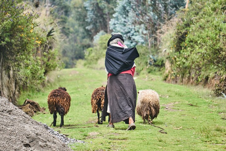 Excursão privada de dia inteiro à cultura indígena do Equador
