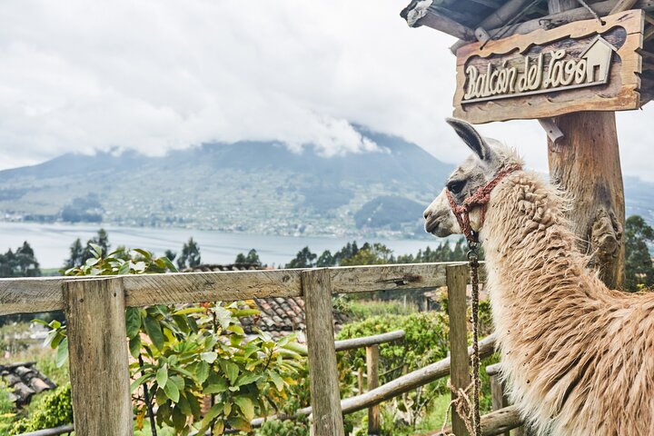 Excursão privada de dia inteiro à cultura indígena do Equador
