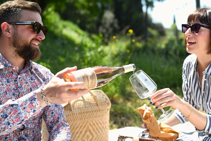 Tour durch die Weinberge und Verkostung von Weinen und Evo-Öl in der Toskana