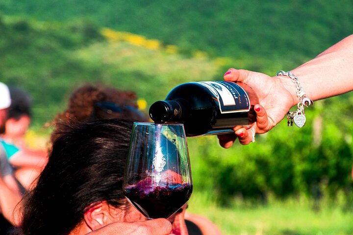 Tour durch die Weinberge und Verkostung von Weinen und Evo-Öl in der Toskana