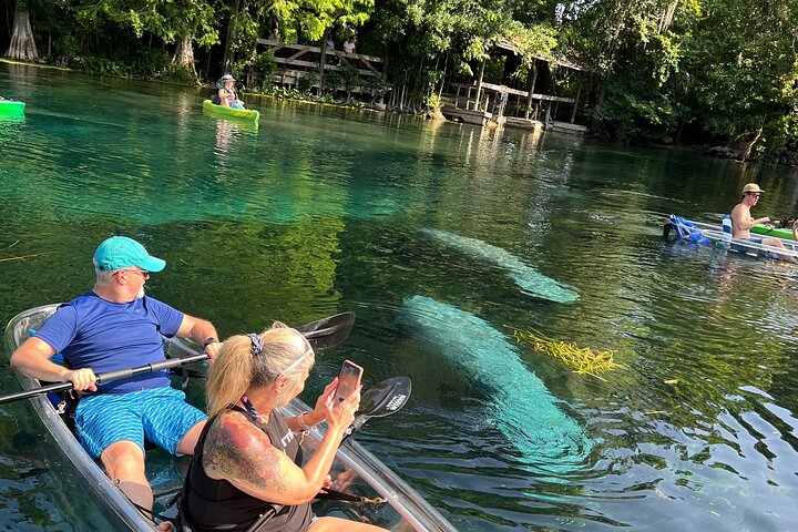 Silver Springs Clear Kayak Manatí, Mono y Vida Silvestre Aventuras