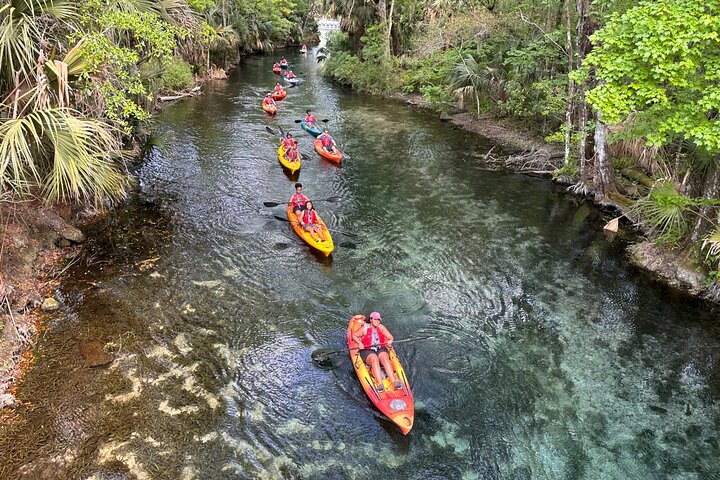 Silver Springs Clear Kayak Manatí, Mono y Vida Silvestre Aventuras