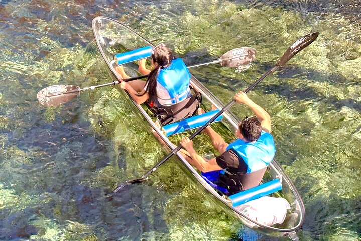 Silver Springs Clear Kayak Manatí, Mono y Vida Silvestre Aventuras