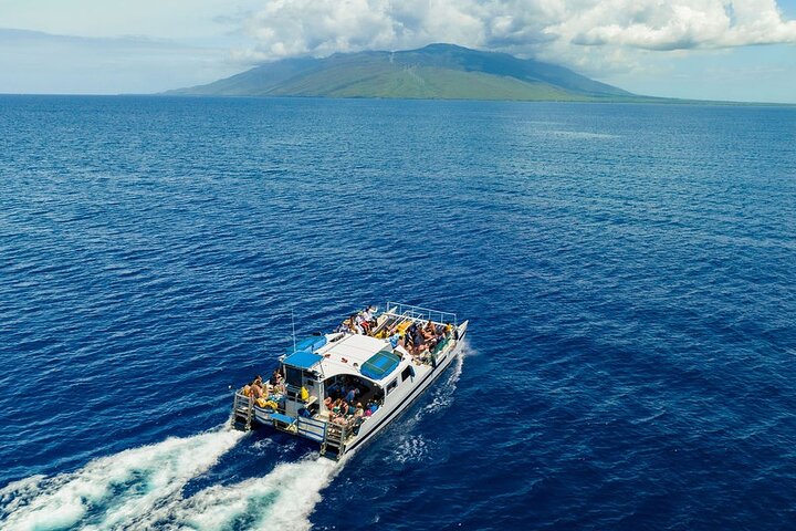 Maui eftermiddag snorkling ombord Malolo til Molokini eller koral haver