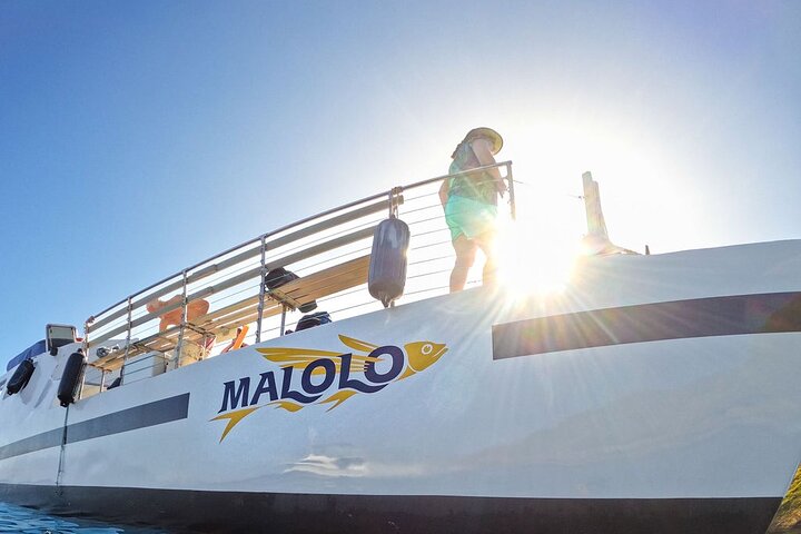Maui eftermiddag snorkling ombord Malolo til Molokini eller koral haver