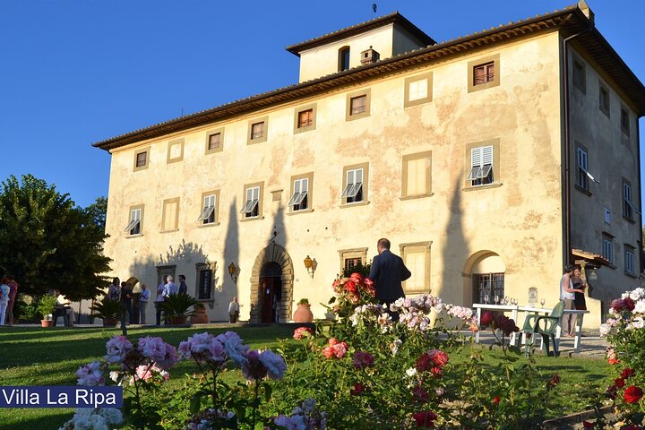 Tour durch die Weinberge und Verkostung von Weinen und Evo-Öl in der Toskana