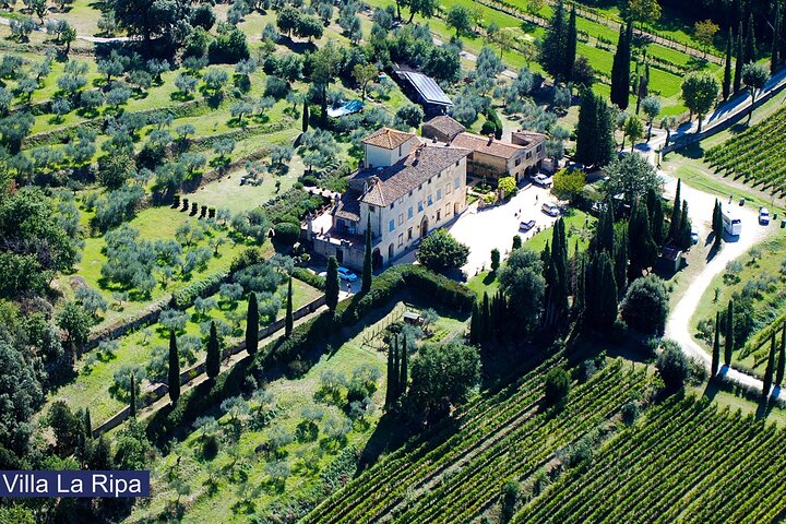 Tour durch die Weinberge und Verkostung von Weinen und Evo-Öl in der Toskana