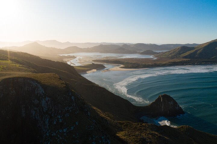 Otago Peninsula Dybderundvisning og Blue Penguins Pukekura Experience