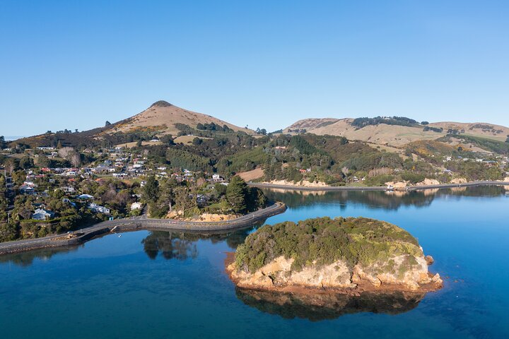 Otago Peninsula Dybderundvisning og Blue Penguins Pukekura Experience