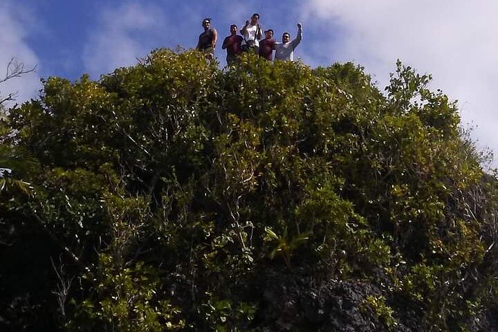 Discover Tongatapu: Full Island Tour