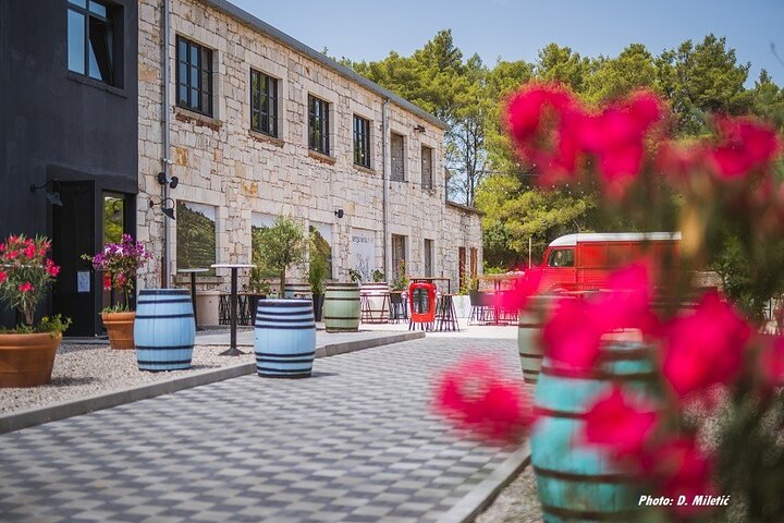 Vino de Korcula y visitas turísticas Vistas Catas e historias