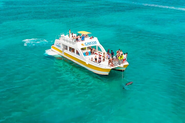 Ochtendcruise van een halve dag vanuit Providenciales met snorkelen en Iguana Island