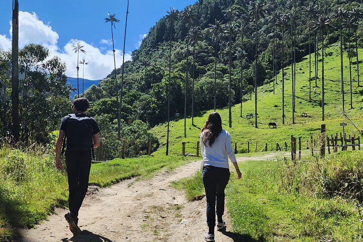 Salento and Cócora Tour plus Coffee Farm from Pereira or Armenia