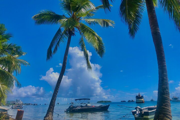 Vuelta a la isla en Chiva (OPERADOR OFICIAL) San Andres Isla