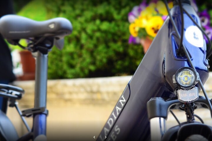 Selvguidet e-cykeltur blandt de palladiske villaer i Vicenza