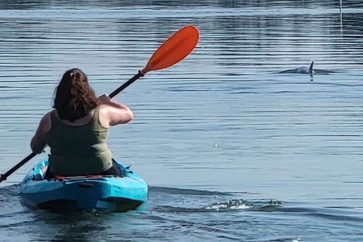 New Smyrna Dolphin and Manatee Kayak and SUP Adventure Tour