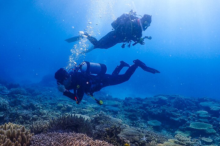 Okinawa Scuba Diving voor gecertificeerde duikers (3 bootduiken + lunch)