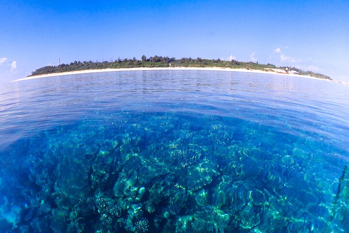 Okinawa Scuba Diving voor gecertificeerde duikers (3 bootduiken + lunch)