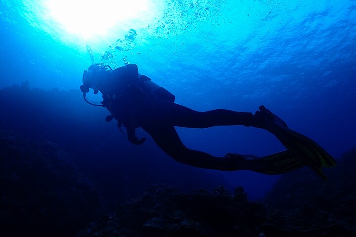 Okinawa Scuba Diving voor gecertificeerde duikers (3 bootduiken + lunch)