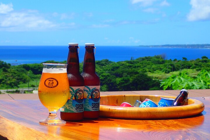 Okinawa Scuba Diving voor gecertificeerde duikers (3 bootduiken + lunch)