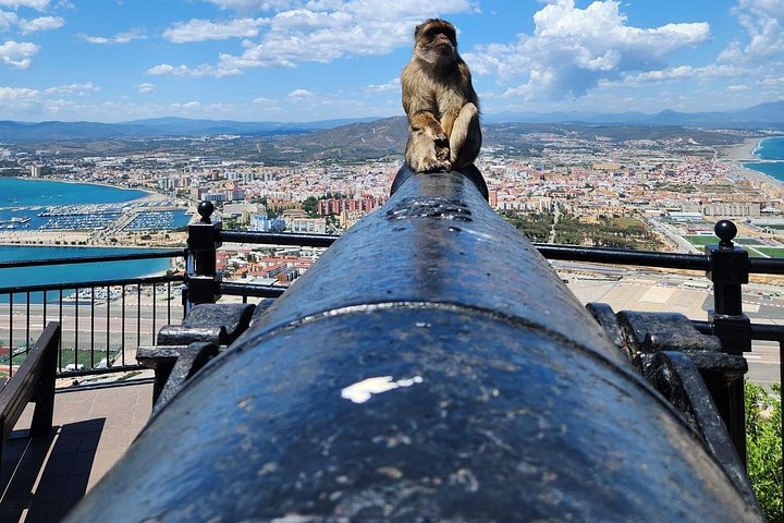 Private 7hrs Platinum Rock Tour in Gibraltar