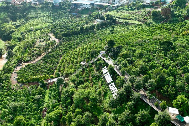Campagne de Dalat | Visite des plantations de café au-delà des chutes d'éléphants