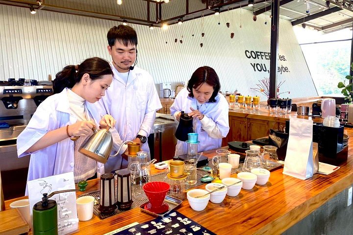 Campagne de Dalat | Visite des plantations de café au-delà des chutes d'éléphants