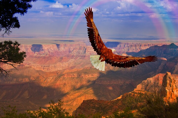 Den perfekta rundturen i Grand Canyon med lokala expertguider