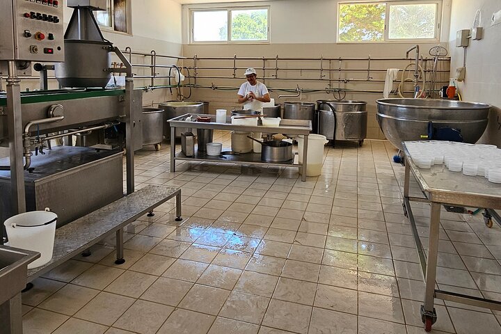 Experiencia Mozzarella - Tour con degustaciones de queso en Masseria Fragnite