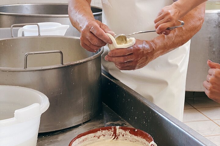 Experiencia Mozzarella - Tour con degustaciones de queso en Masseria Fragnite